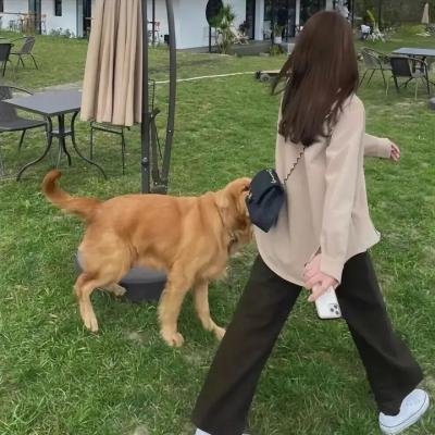 正妻